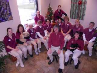Our Veterinary Health Care Team | Veterinarians Akron NY| Akron Animal Hospital NY Our Veterinary Health Care Team | Veterinarians Akron NY| Akron Animal Hospital NY