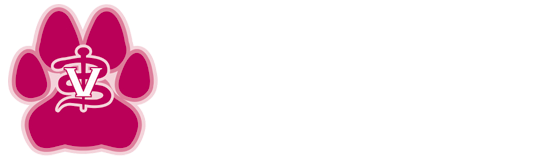 Akron Logo Light New 